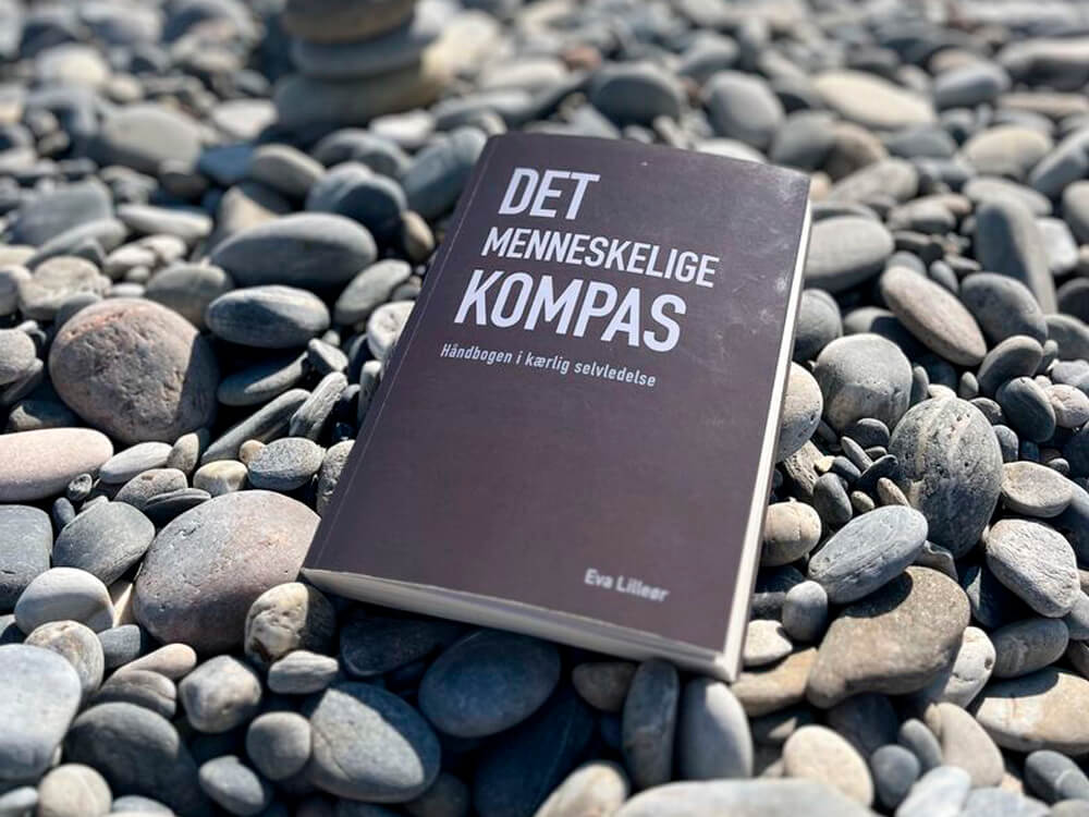 Det menneskelige kompas